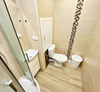 Kompaktní koupelna v garsonce s toaletou, sprchovým koutem a podlahou s dřevěným dekorem.