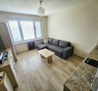 Garsonka s podlahou s dřevěným dekorem, pohovkou a TV prostorem.