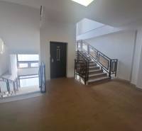 Schodiště v obchodních prostorách s okny a podlahou s dřevěným dekorem.