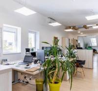 Osvětlené kanceláře s počítači, rostlinami a podlahou s dřevěným dekorem.