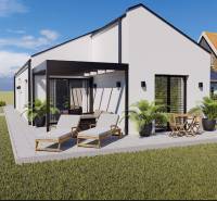 Rodinný dům v Borčicích s terasou, lehátky a zahradním nábytkem obklopený zeleným trávníkem.