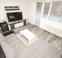 Obývací pokoj s rozkládací pohovkou, velkou TV a podlahou s dřevěným dekorem.