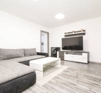 Obývací pokoj ve 3-pokojovém bytě s pohovkou, TV a podlahou s dřevěným dekorem.