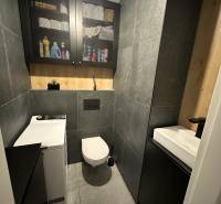 Koupelna s toaletou v 2-pokojovém bytě, obklady, skříňka, pračka a úložný prostor.