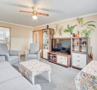 Obývací pokoj ve 4-pokojovém bytě s pohodlným sezením, pokojovými rostlinami a kobercem.