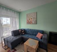 Obývací pokoj rekreačního apartmánu s pohovkou, stolkem, dekoracemi a oknem s výhledem.