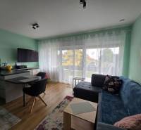 Obývací pokoj v rekreačním apartmánu s podlahou s dřevěným dekorem, pohovkou a TV.