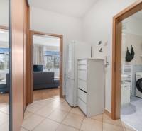 V interiéru 1-pokojového bytu jsou viditelné chodba, koupelna a obývací prostor.