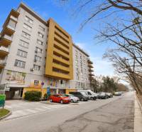 Bytový dům na ulici Antolská v Bratislavě - Petržalce obklopený stromy a zaparkovanými auty.