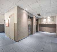 Vstupní hala s výtahy, modrá podlaha, osvětlené stropy.