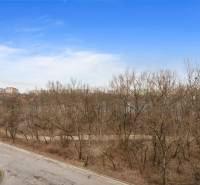 Pohled z Antolské ulice v Bratislavě, Petržalce na les a paneláky, 1-pokojový byt.