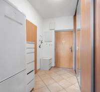 Vstupní hala 1-pokojového bytu s dlažbou, věšákem a šatní skříní.