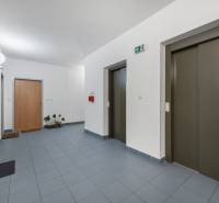 Vstupní chodba s výtahy a dveřmi v 1-pokojovém bytě, podlaha s dlaždicemi.