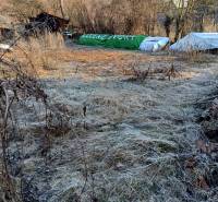 Pozemky - bydlení ve Sklabini pokryté suchou trávou a obklopené stromy.