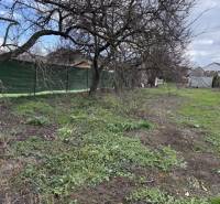 IMG_8620 Stredná.jpeg