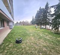 Exteriér 3-pokojového bytu v Bánovcích nad Bebravou s trávníkem a stromy.