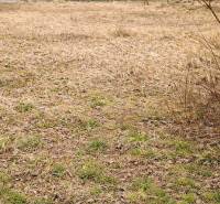 Stavební pozemek v Korni vhodný k bydlení, obklopený přírodou a mírně zvlněným terénem.