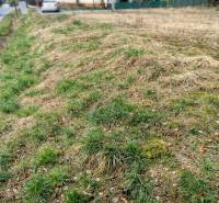 Pozemky - bydlení v Korni s travnatou plochou u cesty.