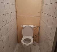 Toaleta s dlaždicemi a podlahou s dřevěným dekorem v 1-pokojovém bytě.