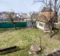 Zahrada rodinného domu ve Zlatých Moravcích s trávníkem, stromy a lavičkou.