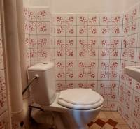 Toaleta s dlažbou a dekoračními obkladačkami v rodinném domě.