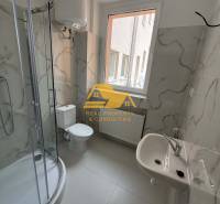 Koupelna v 1-pokojovém bytě s rohovým sprchovým koutem a keramickými obklady.