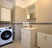 Koupelna s pračkou, umyvadlem a skříňkami v Rekreačním apartmánu.