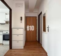 Chodba s podlahou s dřevěným dekorem v Rekreačním apartmánu, v pozadí kuchyně.