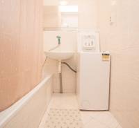 Koupelna se sprchovým závěsem, umyvadlem a pračkou ve 4pokojovém bytě.