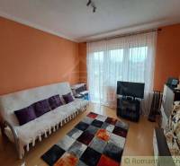 Obývací pokoj v rodinném domě s podlahou s dřevěným dekorem a oranžovými stěnami.