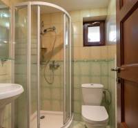 Koupelna s toaletou, sprchovým koutem a umyvadlem v bytě s 5 a více pokoji.