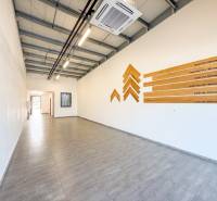 Obchodní prostory s podlahou s dřevěným dekorem a dekorací na stěně.