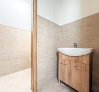 Samozřejmě, prosím, poskytněte text, který chcete přeložit do češtiny.