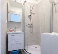 Koupelna s umyvadlem, sprchovým koutem a úložným prostorem ve 2pokojovém bytě.