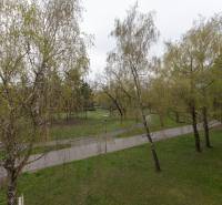 Park se stromy a chodníky v Bratislavě - Ružinově na Planétách.