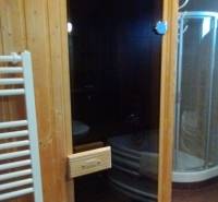 Sauna a sprcha v koupelně dvoupokojového bytu s podlahou s dřevěným dekorem.