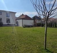 Zahrada u 3pokojového bytu na ulici Gábora Steinera, Trnava, s mladými stromy.