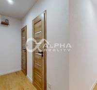 Vstupní chodba v 1-pokojovém bytě s podlahou s dřevěným dekorem a bílými stěnami.