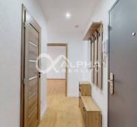 Vstupní hala 1pokojového bytu s podlahou s dřevěným dekorem a úložnými prostory.