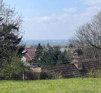 Zahrady s výhledem mezi stromy a střechami na Budovatelské ulici, Marianka, Pozemky - bydlení.