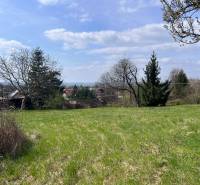 Zeleň na pozemcích - bydlení v Mariance na Budovatelské ulici obklopená stromy a nedalekými domy.