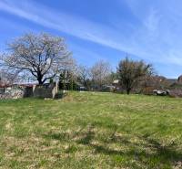 Kvetoucí stromy a travnatá plocha na pozemku pro bydlení v Mariance na Budovatelské ulici.