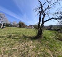 Pozemky - bydlení na Budovatelské ulici v Mariánce s travnatou plochou a stromy.