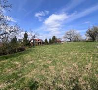 Zahrada s travnatou plochou a ovocnými stromy v Mariance na Budovatelské, vhodná na Pozemky - bydlení.