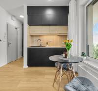 Kuchyně s šedými skříňkami a podlahou s dřevěným dekorem v 1-pokojovém bytě.