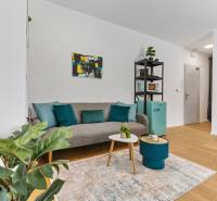 Světlý obývací prostor v 1-pokojovém bytě s pohovkou a rostlinou, podlaha s dřevěným dekorem.