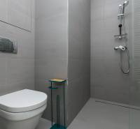 Koupelna s toaletou a sprchovým koutem v 1-pokojovém bytě.