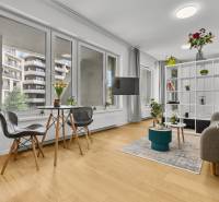 Obývací pokoj jednoizbového bytu s velkými okny, podlahou s dřevěným dekorem a rostlinami.