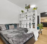 1-pokojový byt s postelí, regálem, podlahou s dřevěným dekorem a černou kuchyní.