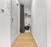 Úzká chodba v 1-pokojovém bytě se závěsem a pračkou.